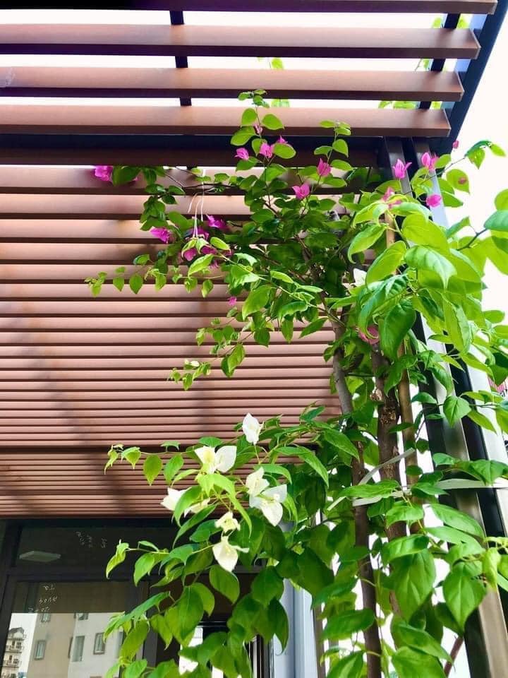 giàn hoa gỗ nhựa composite