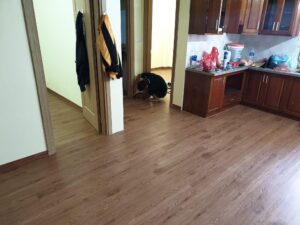 sàn nhựa vân gỗ Tại Hòa Bình