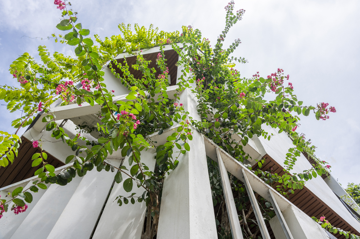 sân vườn ngoài trời đẹp