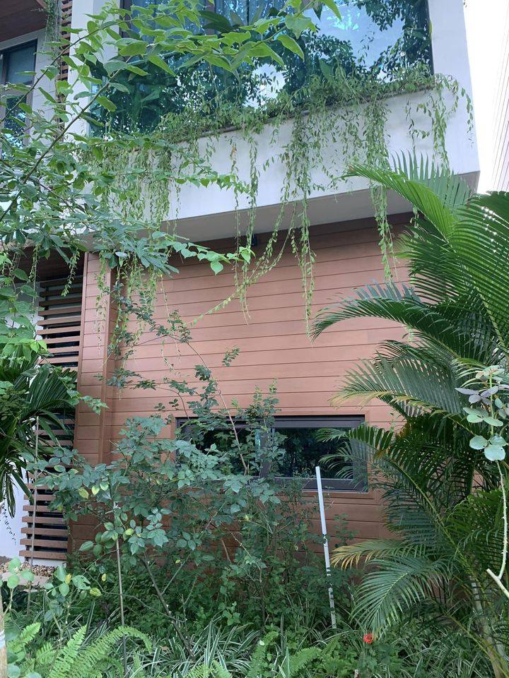 sân vườn gỗ nhựa 2023