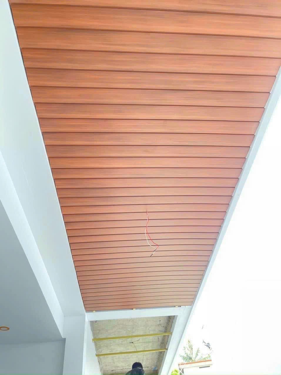 Hình Ảnh Minh Họa 