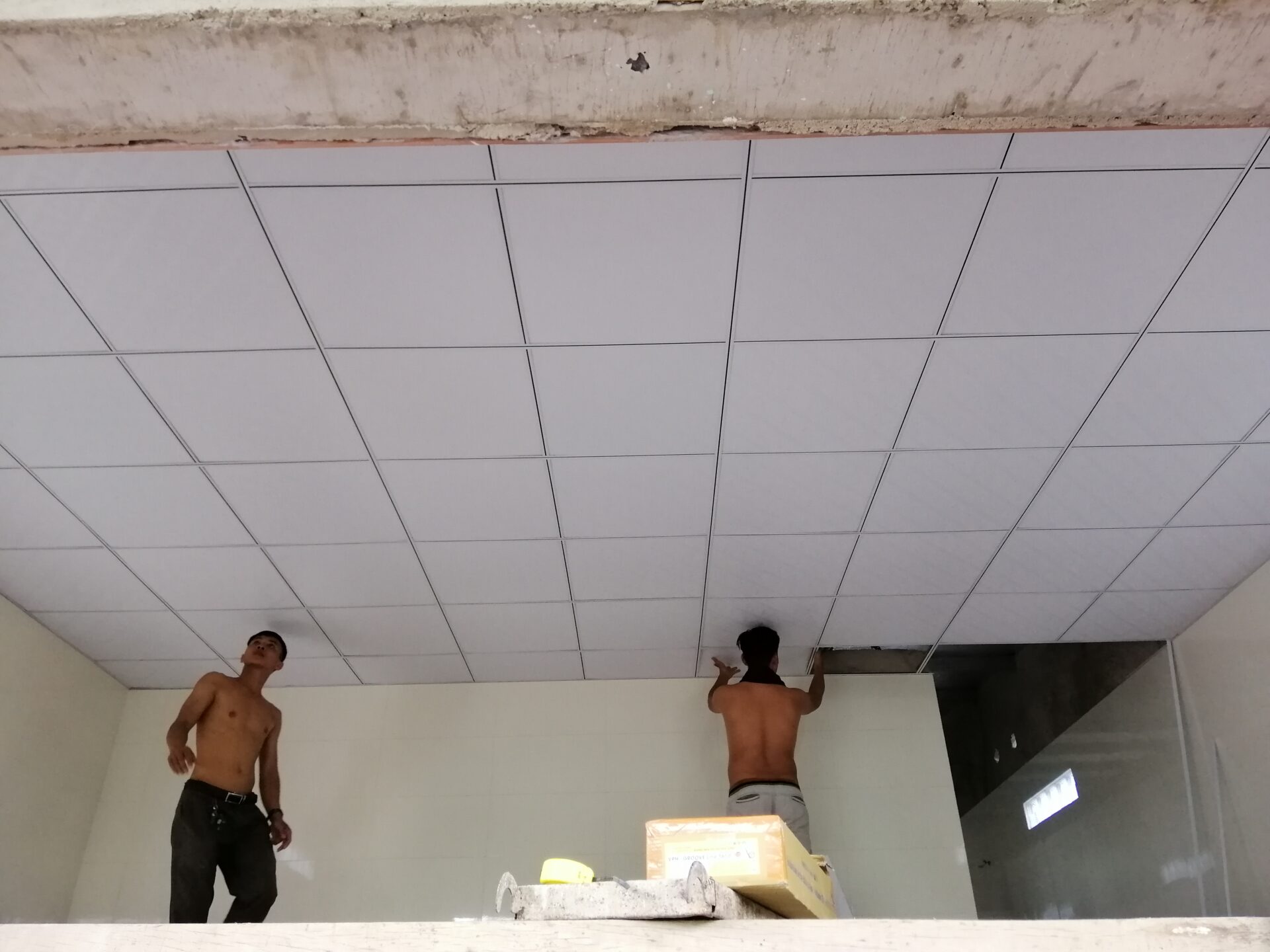 Giới thiệu về <strong>trần thả nhựa</strong>