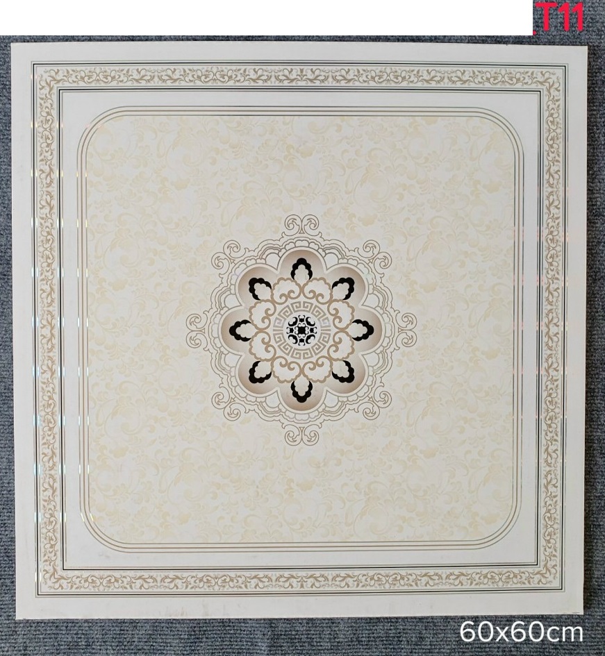 Giới thiệu về <strong>trần thả nhựa</strong>