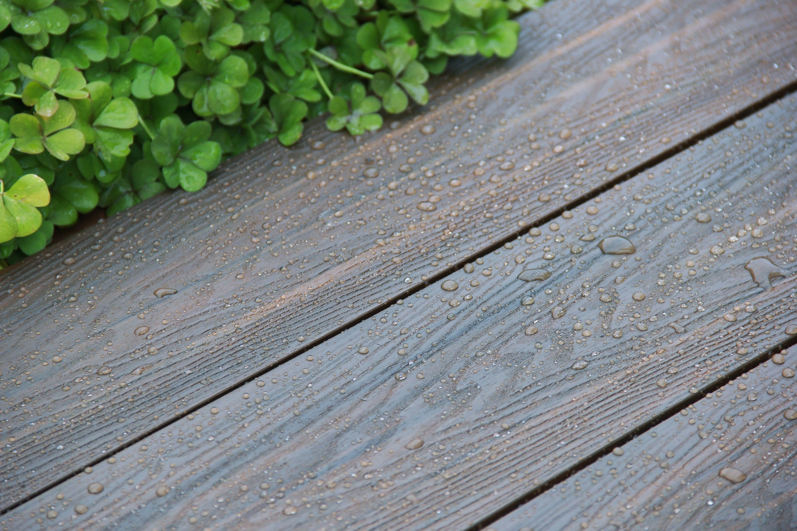 Vật liệu làm sàn ngoài trời: Hướng dẫn chọn lựa và Ưu - Nhược điểm